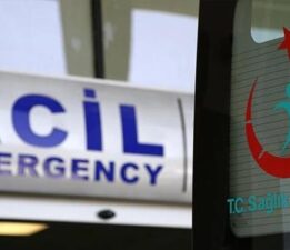 Rize’de korkunç olay! Arı soktu hayatını kaybetti