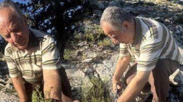 Sadece Antalya’da yetişiyor! 50 liradan satılıyor: ‘Köklerine zarar vermiyoruz’