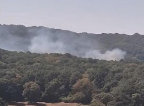 Sarıyer’de ormanlık alanda yangın