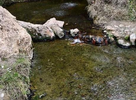 ‘Şifalı’ denilen suya giren çift hayatını kaybetti