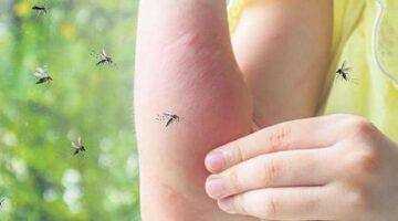 Sivrisinekler neden bazı insanlara daha çok musallat oluyor? CO fazlaysa ısırıyorlar!