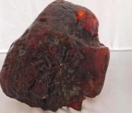 Sokakta buldu, kapısının önüne koydu: Meğer yıllarca evinde milyonluk hazine saklamış!