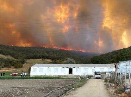 Son dakika… Bursa’da korkutan yangın! Alevler çiftliğe yaklaştı, yol kapandı, mahalleli anonsla uyarıldı