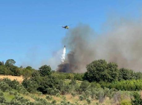 Son dakika… Çanakkale’de orman yangını! Havadan ve karadan müdahale başladı