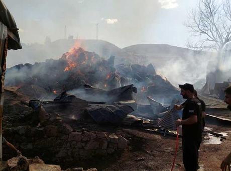 Son dakika… Erzurum’da yangın felaketi! Alevler köyü sardı, her şey küle döndü