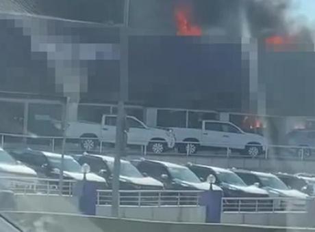 Son dakika: Pendik’te sıfır araç bayisinde yangın çıktı