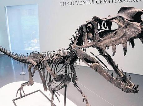 Statü sembolü: Dinozor fosili