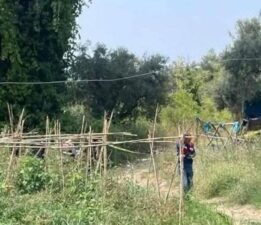 Tarlasını korumaya gitti, cansız bedeni bulundu! ‘Bölgemiz adeta yaban domuzlarının istilası altında’