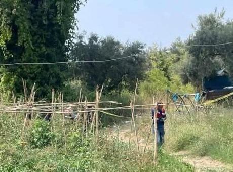 Tarlasını korumaya gitti, cansız bedeni bulundu! ‘Bölgemiz adeta yaban domuzlarının istilası altında’