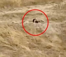 Tekirdağ’da uygunsuz hareketler sergileyen iki genç gözaltına alındı