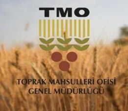 TMO’nun ithalat yoluyla tarım ürünleri almasına ilişkin usul ve esaslar belirlendi