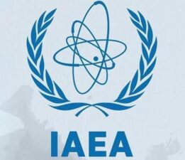 Uluslararası Atom Enerjisi Ajansı: Yasak Bölge’de birkaç dron tespit edildi