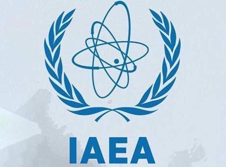 Uluslararası Atom Enerjisi Ajansı: Yasak Bölge’de birkaç dron tespit edildi