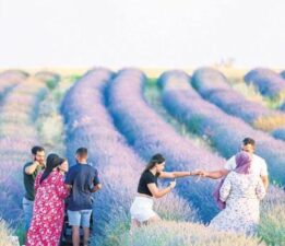 Uşak’ta ‘mor bahçeler’e ilgi gün geçtikçe artıyor