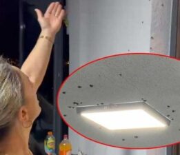 Yer: Rize! Gece olunca ‘vampir’ kabusu başlıyor: ‘Yemek yiyemez olduk’