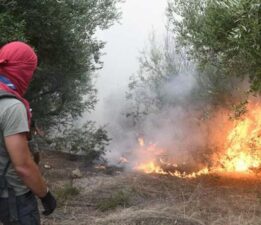 Yunanistan alevlere teslim! Bir günde 82 yangın çıktı, halk tahliye ediliyor