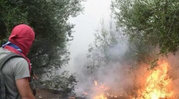 Yunanistan alevlere teslim! Bir günde 82 yangın çıktı, halk tahliye ediliyor