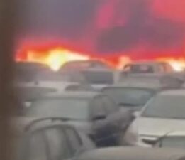 Yunanistan’da orman yangını: 550 araç küle döndü