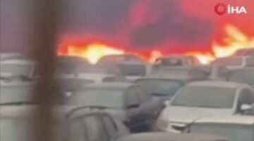 Yunanistan’da orman yangını: 550 araç küle döndü