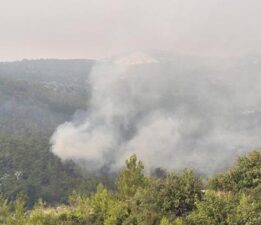 Yurdun dört bir yanında alevlerle mücadele! Yangın köye indi: Kaç artık hiçbir şey yapamayız