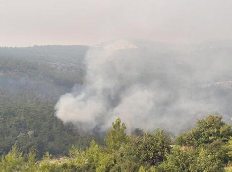 Yurdun dört bir yanında alevlerle mücadele! Yangın köye indi: Kaç artık hiçbir şey yapamayız