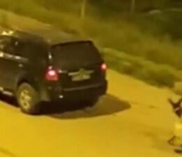 Yürekleri dağlayan manzara büyük tepki topladı! Ceza yağdı