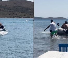 Yürüyerek gidilen adada can pazarı!