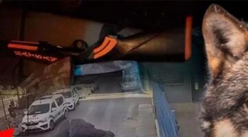 2 polisi şehit eden saldırgan ‘Yalnız Kurt’ mu? Dünyaya yayıldı: ‘Tam da bu yaşlarda başlar’