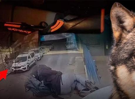 2 polisi şehit eden saldırgan ‘Yalnız Kurt’ mu? Dünyaya yayıldı: ‘Tam da bu yaşlarda başlar’