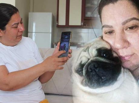 5 bin 800 liraya pet otel skandalı! ‘Ses çıkmasın diye pencereleri kapatmışlar’