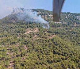 Antalya’da orman yangını! Havadan ve karadan müdahale ediyor