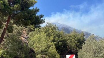 Aydın’da zeytinlik alanda yangın! Havadan ve karadan müdahale