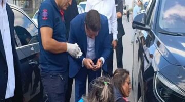 Bakan konvoyunda araca yavru kedi girdi! Yaramaz kedi ekipleri uğraştırdı