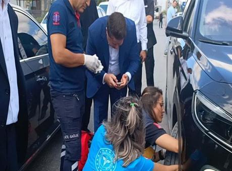Bakan konvoyunda araca yavru kedi girdi! Yaramaz kedi ekipleri uğraştırdı