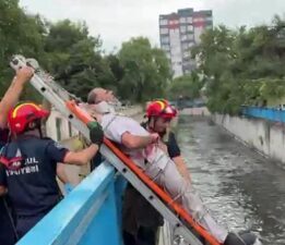 Bakırköy’de şoke eden olay! Kafenin çatısından dereye düştü