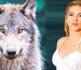 Bir bağırıyor, kurtlar kaçıyor