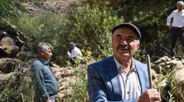 Bir koyunu 333 koyun takip etti! Çobanlar durduramadı