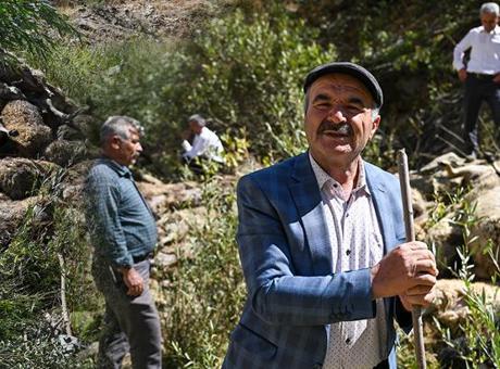 Bir koyunu 333 koyun takip etti! Çobanlar durduramadı
