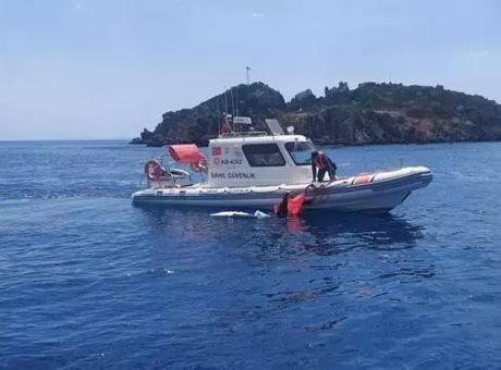 Bodrum’dan yüzerek yurt dışına kaçmaya çalıştılar! İki düzensiz göçmen kıskıvrak yakalandı