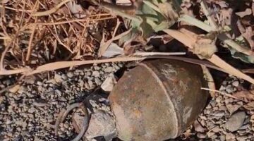 Bursa sahilinde panik! İznik Gölü kıyısında el bombası bulundu