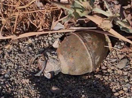 Bursa sahilinde panik! İznik Gölü kıyısında el bombası bulundu