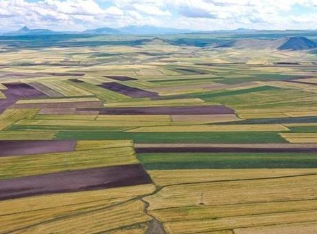 Devletten kiralık arazi! İlk kiralama tarihi belli oldu