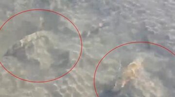 İznik Gölü’nün dibinde fark edildi! Uzmanlar bölgede