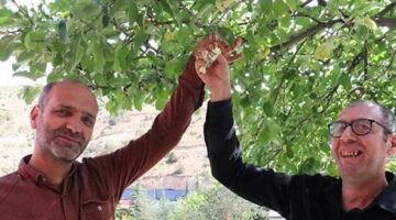 Kentte alışılmadık görüntü, ilk vatandaş fark etti: Çok şaşkınız