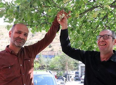 Kentte alışılmadık görüntü, ilk vatandaş fark etti: Çok şaşkınız
