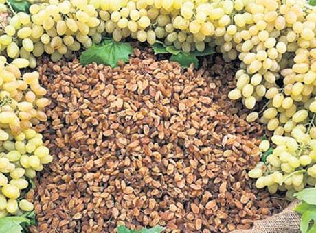 Kuru üzümde iklim tarihe geçti
