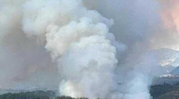 Osmaniye’de orman yangını! Müdahale başladı