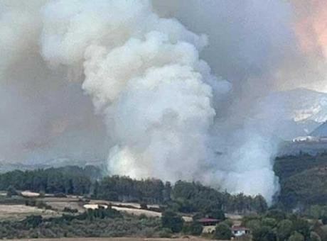 Osmaniye’de orman yangını! Müdahale başladı