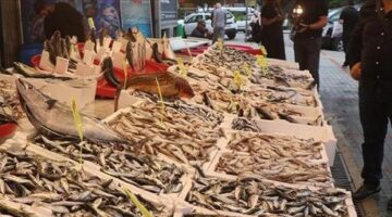 Rize’de balıkçı tezgahlarında bolluk yaşanıyor