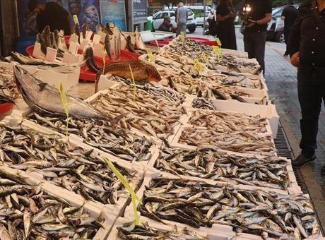 Rize’de balıkçı tezgahlarında bolluk yaşanıyor